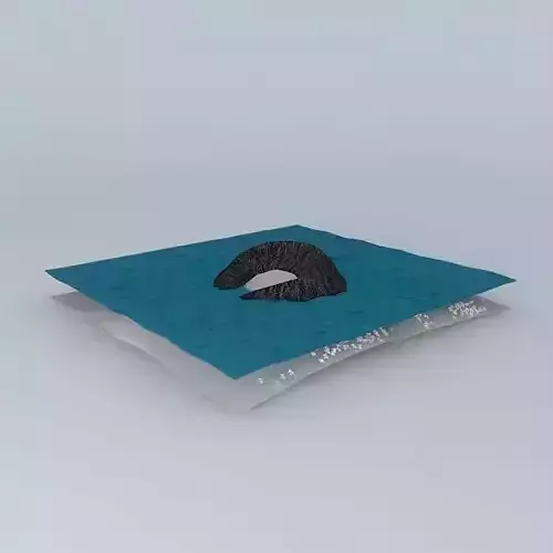 Under the Sea ( tropical island )