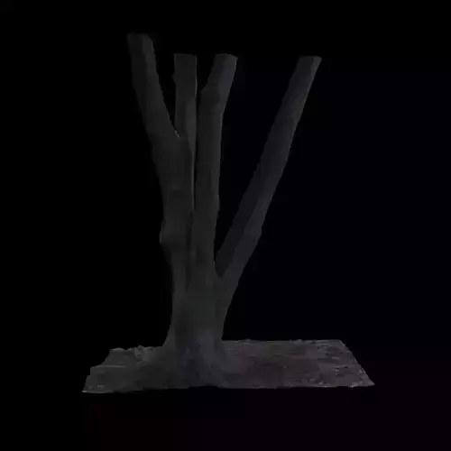 Ficus tree in middle of background 3D model