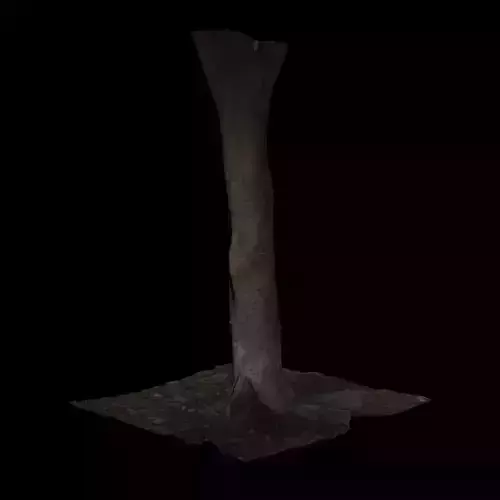 Ficus tree 3D model