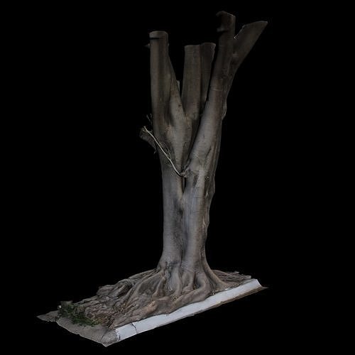 Ficus tree with roots 3D model