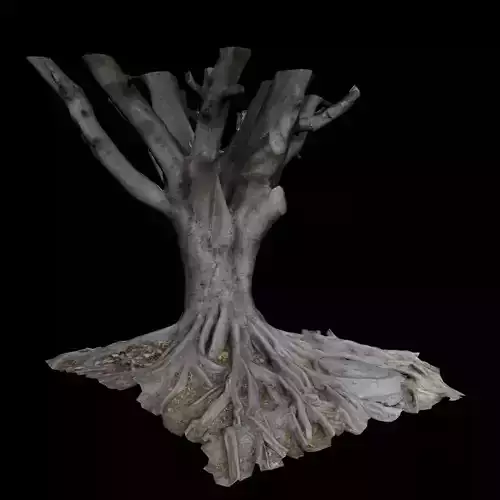 Ficus tree 3D model