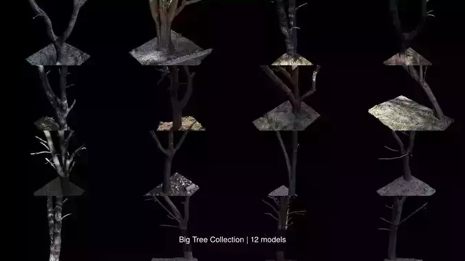 Big Tree Collection