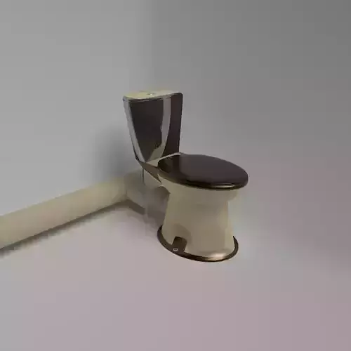 Ceramic toilet