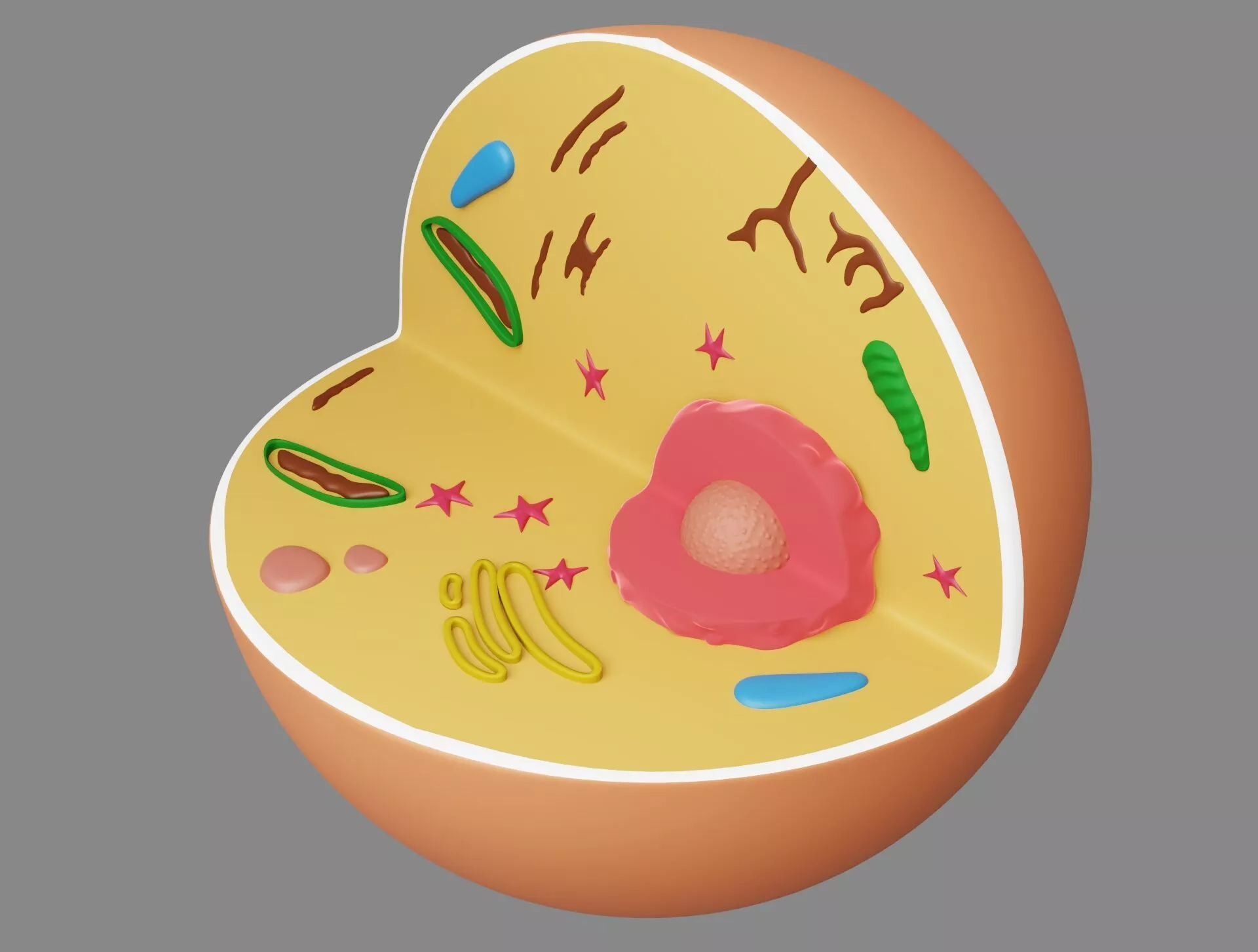 Animal Cell Low-poly 3D model