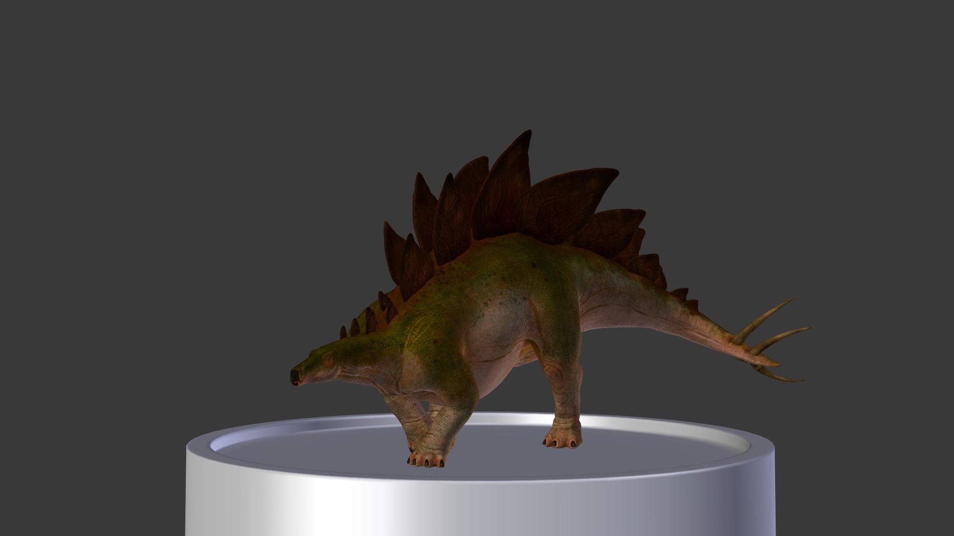 Jurassic Park Stegosaurus Blender Low-poly 3D model_6
