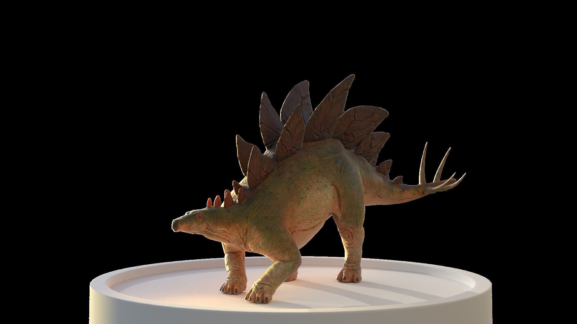 Jurassic Park Stegosaurus Blender Low-poly 3D model_20