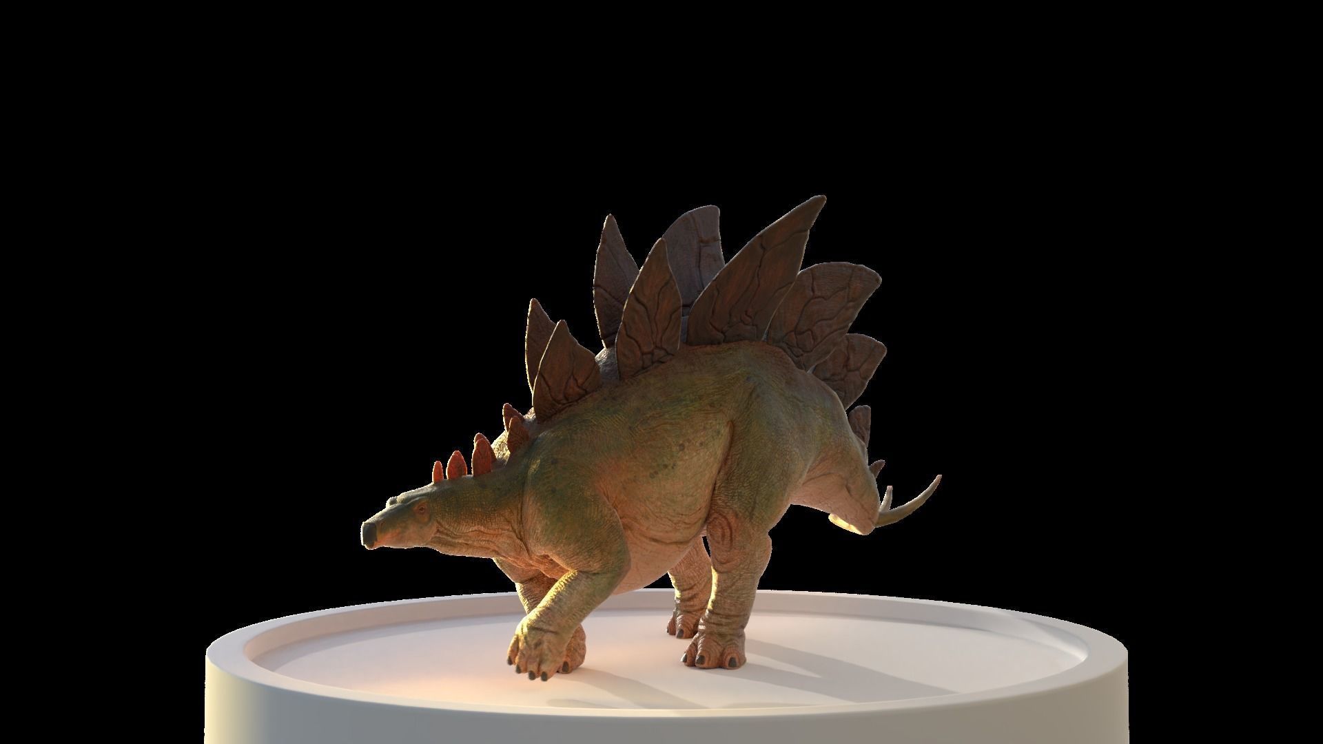 Jurassic Park Stegosaurus Blender Low-poly 3D model_19