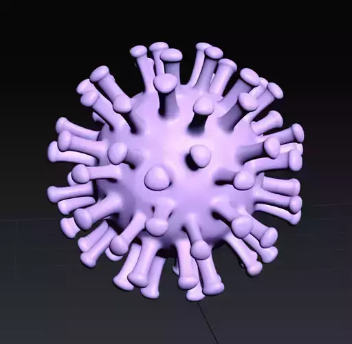 corona virus