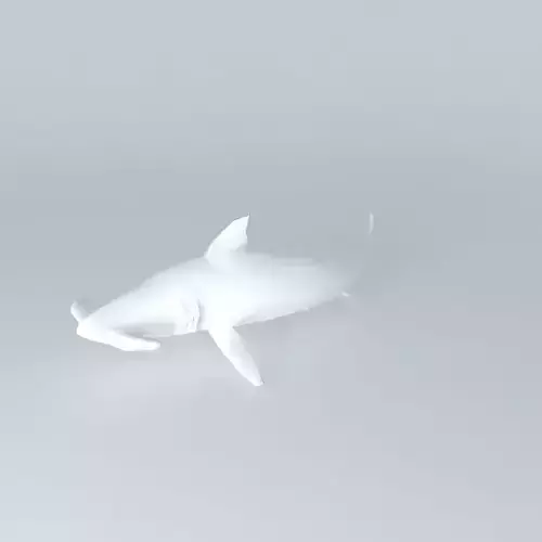 hammerhead shark