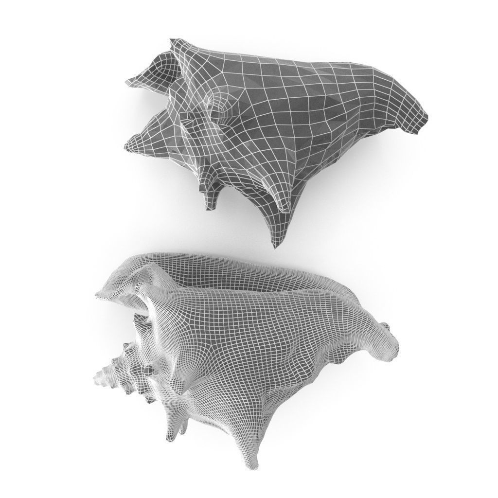 Shell 03 - Low and High Poly Versions Low-poly 3D model_2