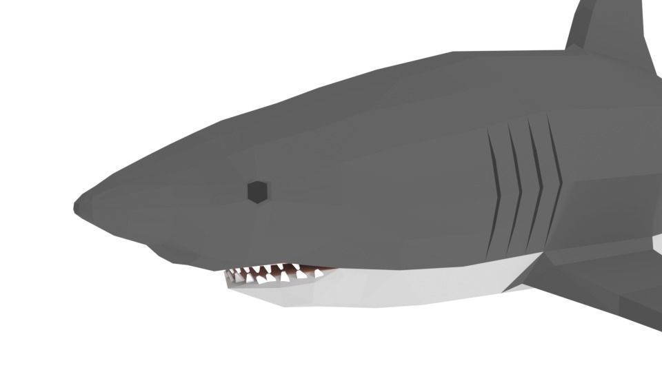 Low Poly Cartoon Shark Low-poly 3D model_10