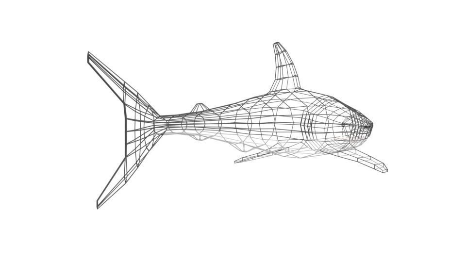 Low Poly Cartoon Shark Low-poly 3D model_16