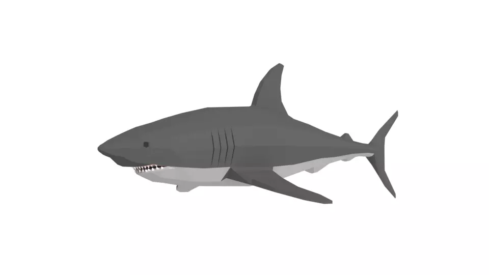 Low Poly Cartoon Shark Low-poly 3D model_0