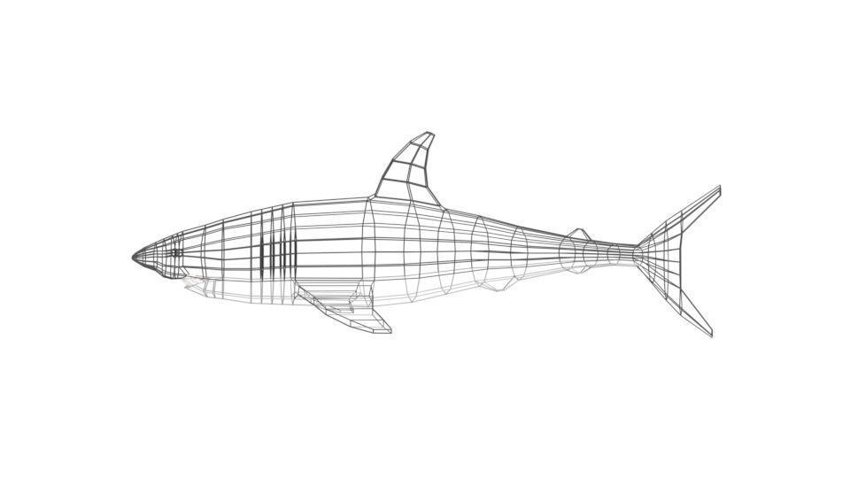 Low Poly Cartoon Shark Low-poly 3D model_12