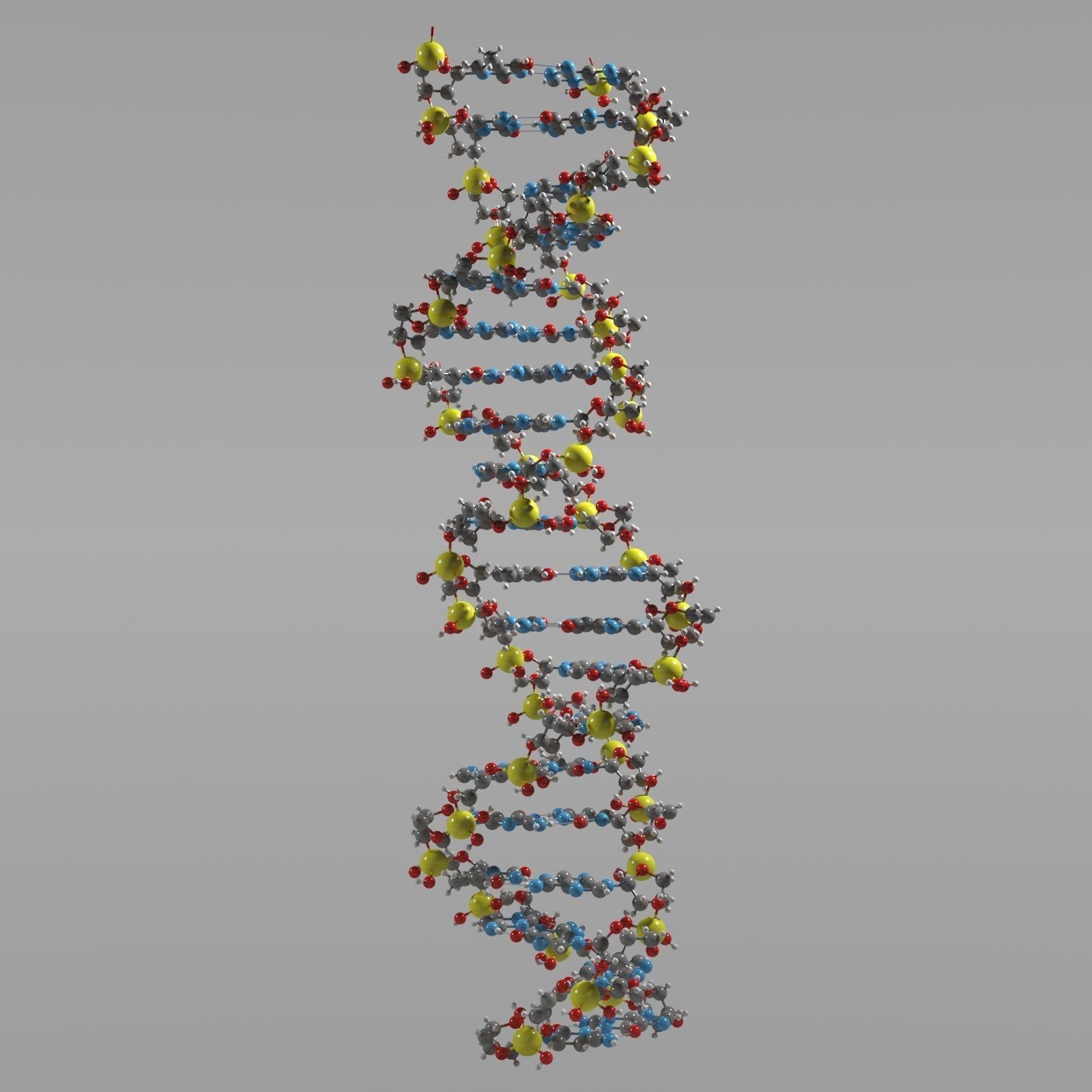 DNA Science model 3D model_5
