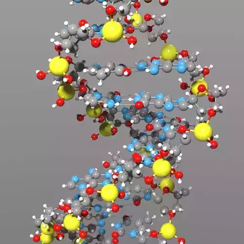 DNA Science model 3D model