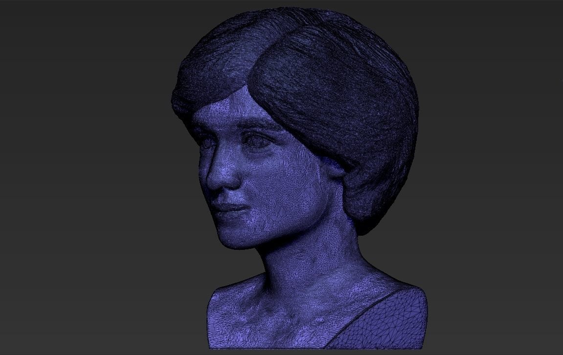 Princess Diana bust 3D printing ready stl obj formats Free 3D print model_27