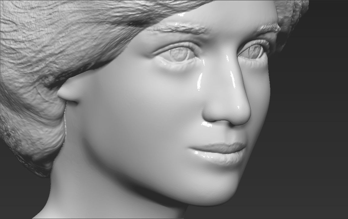 Princess Diana bust 3D printing ready stl obj formats Free 3D print model_19