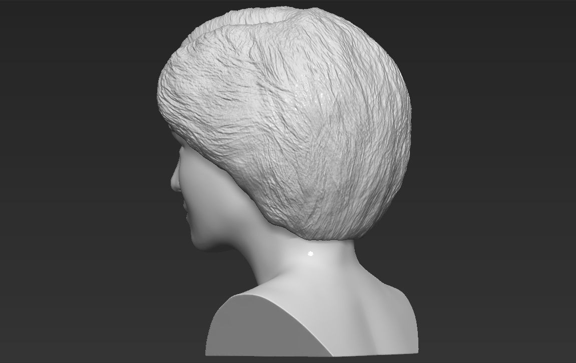 Princess Diana bust 3D printing ready stl obj formats Free 3D print model_4