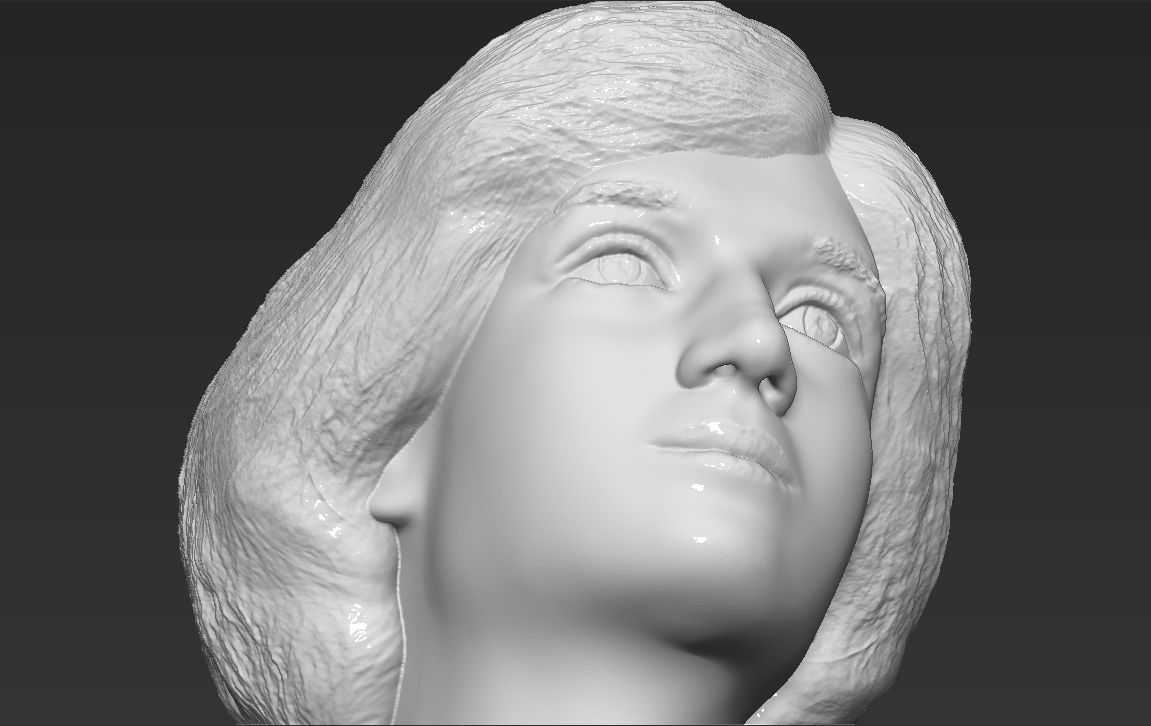 Princess Diana bust 3D printing ready stl obj formats Free 3D print model_15