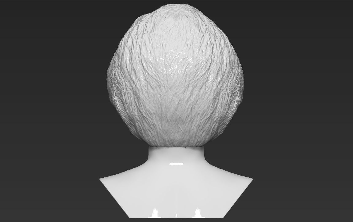 Princess Diana bust 3D printing ready stl obj formats Free 3D print model_5