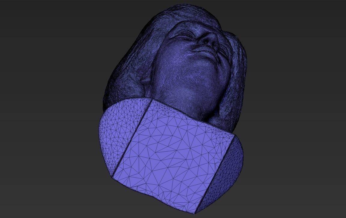 Princess Diana bust 3D printing ready stl obj formats Free 3D print model_29