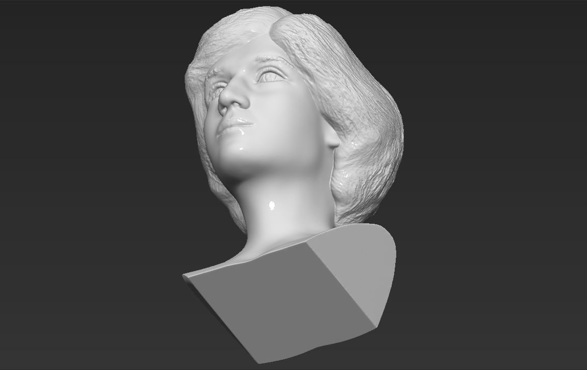 Princess Diana bust 3D printing ready stl obj formats Free 3D print model_24