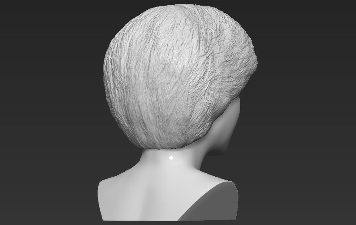 Princess Diana bust 3D printing ready stl obj formats Free 3D print model_6