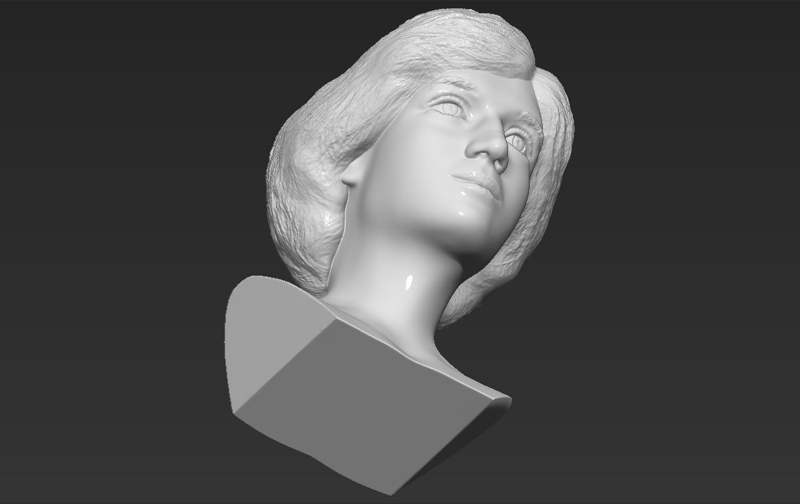 Princess Diana bust 3D printing ready stl obj formats Free 3D print model_23