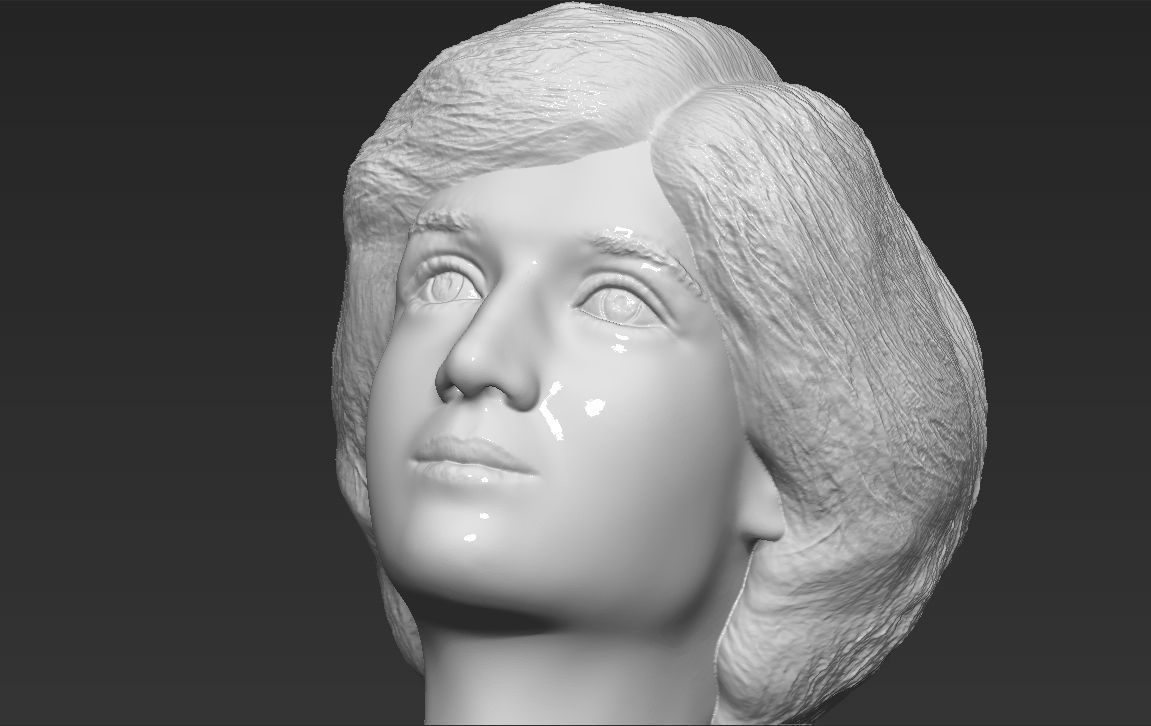 Princess Diana bust 3D printing ready stl obj formats Free 3D print model_17