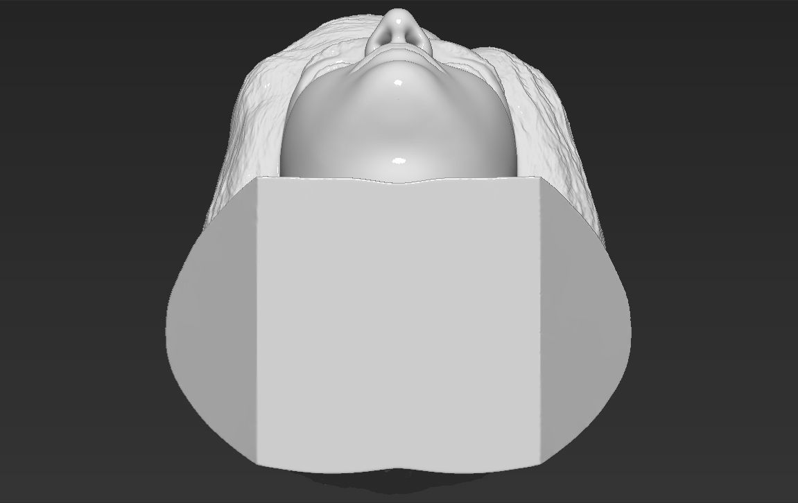 Princess Diana bust 3D printing ready stl obj formats Free 3D print model_25