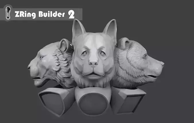 Zring Builder 2 3D model