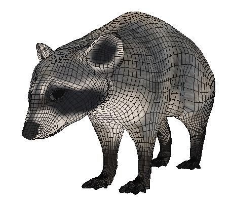 Realistic raccoon 3D model_7
