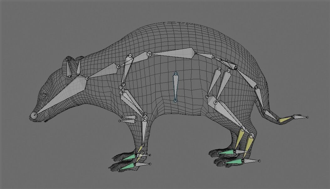 Realistic raccoon 3D model_5