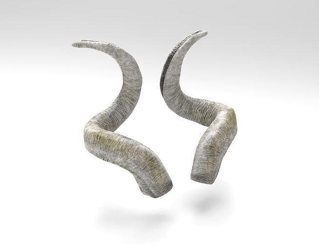 Horns of a screw-horned goat Low-poly 3D model