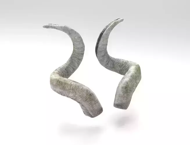 Horns of a screw-horned goat Low-poly 3D model