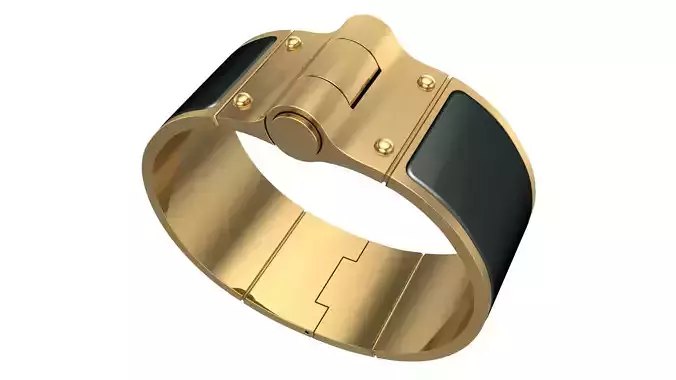 Hinged Hermes clic clac