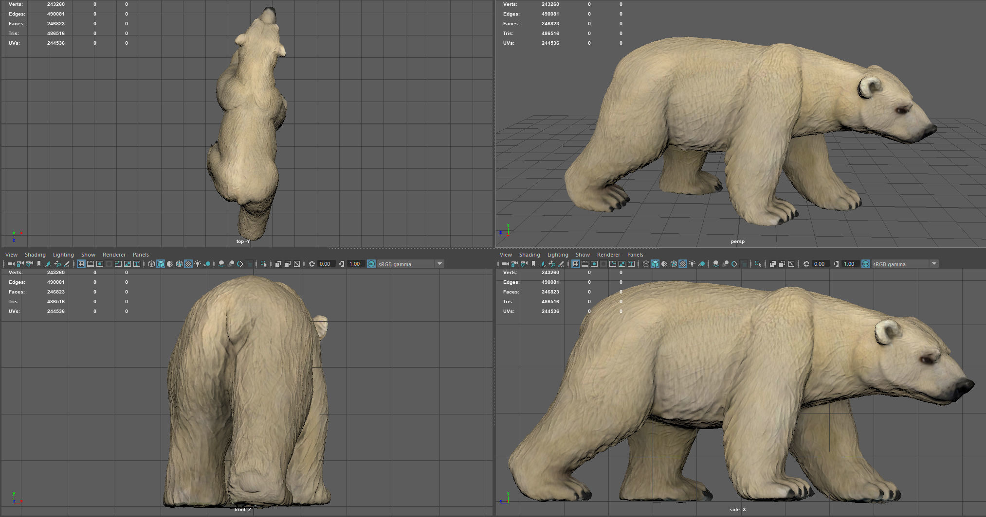 POLAR BEAR Low-poly 3D model_8