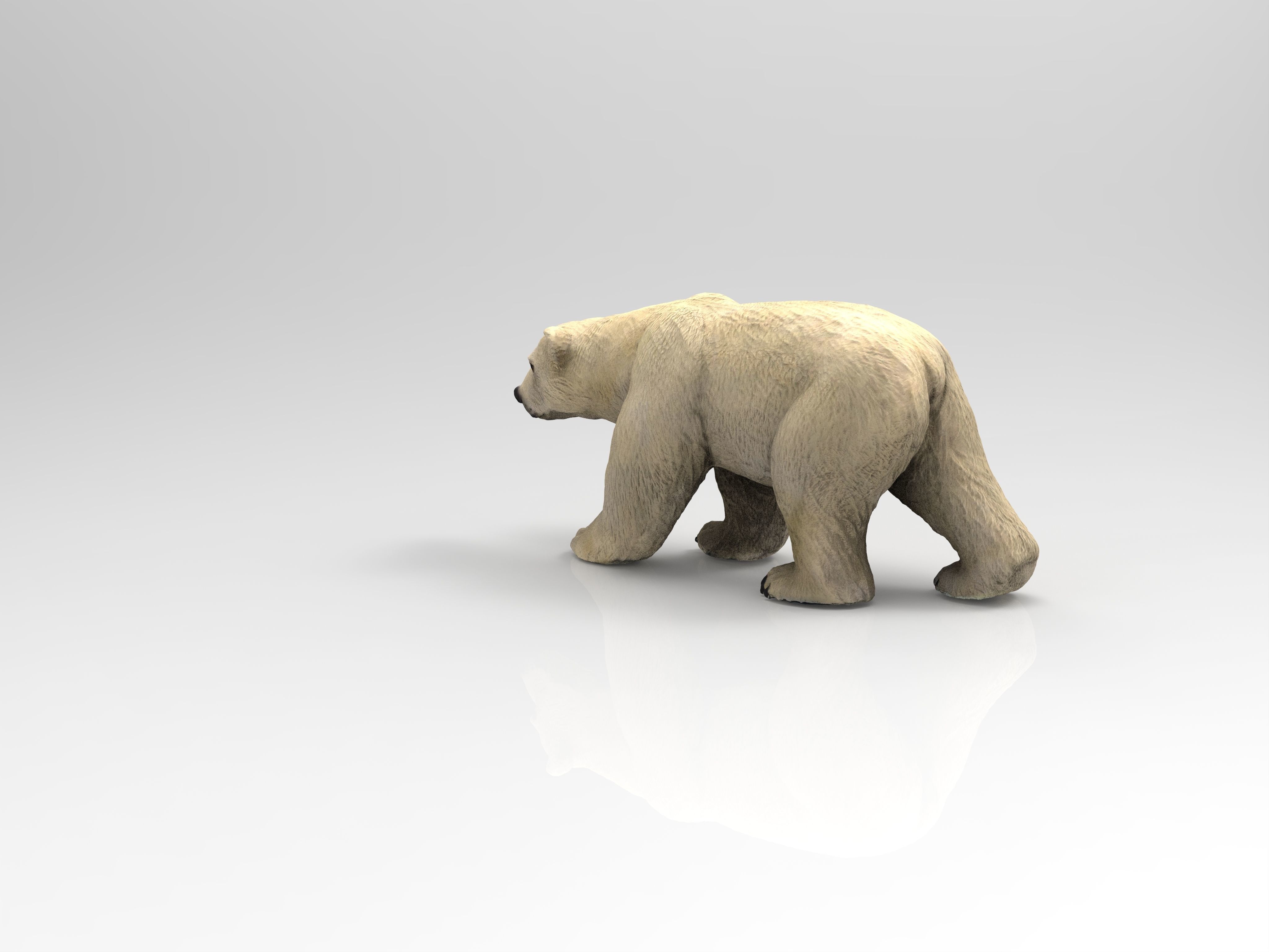POLAR BEAR Low-poly 3D model_13