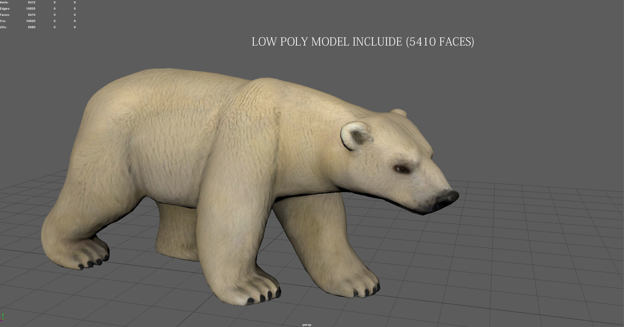 POLAR BEAR Low-poly 3D model_6
