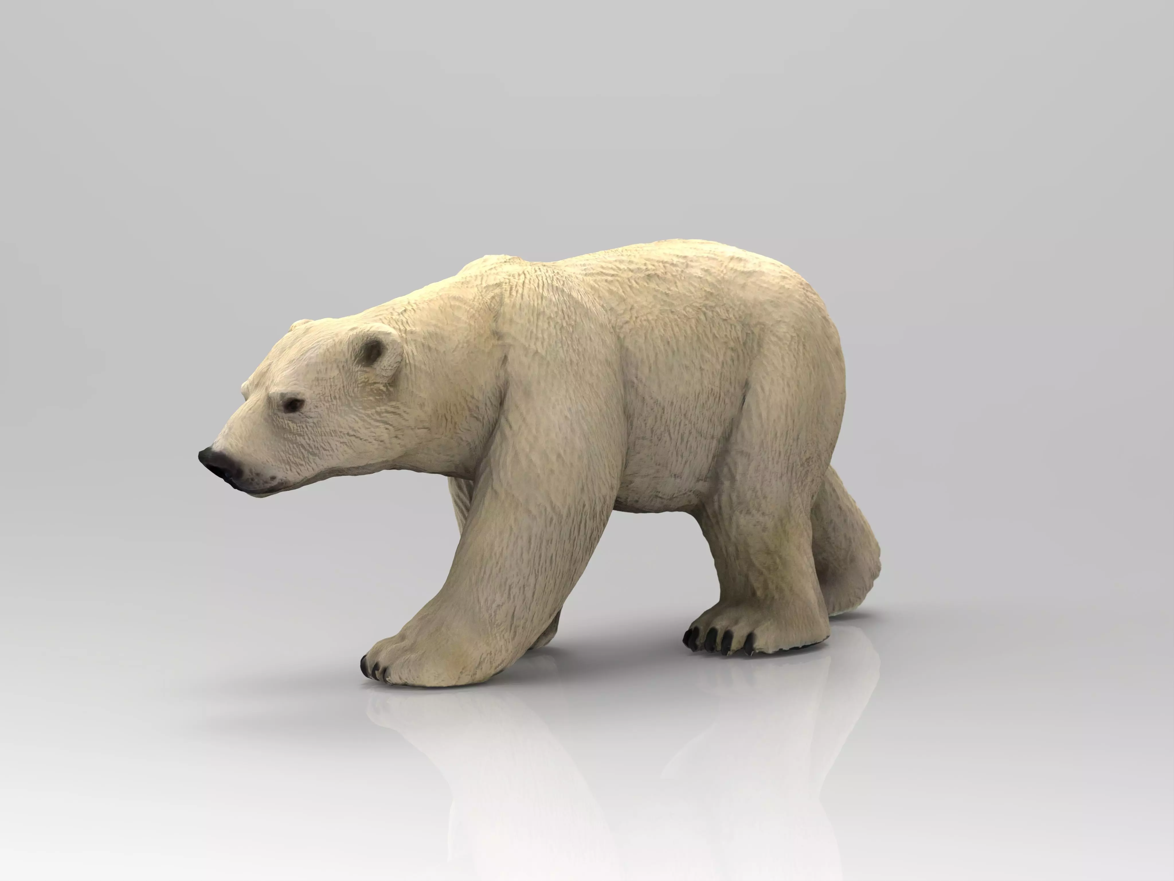 POLAR BEAR Low-poly 3D model_0