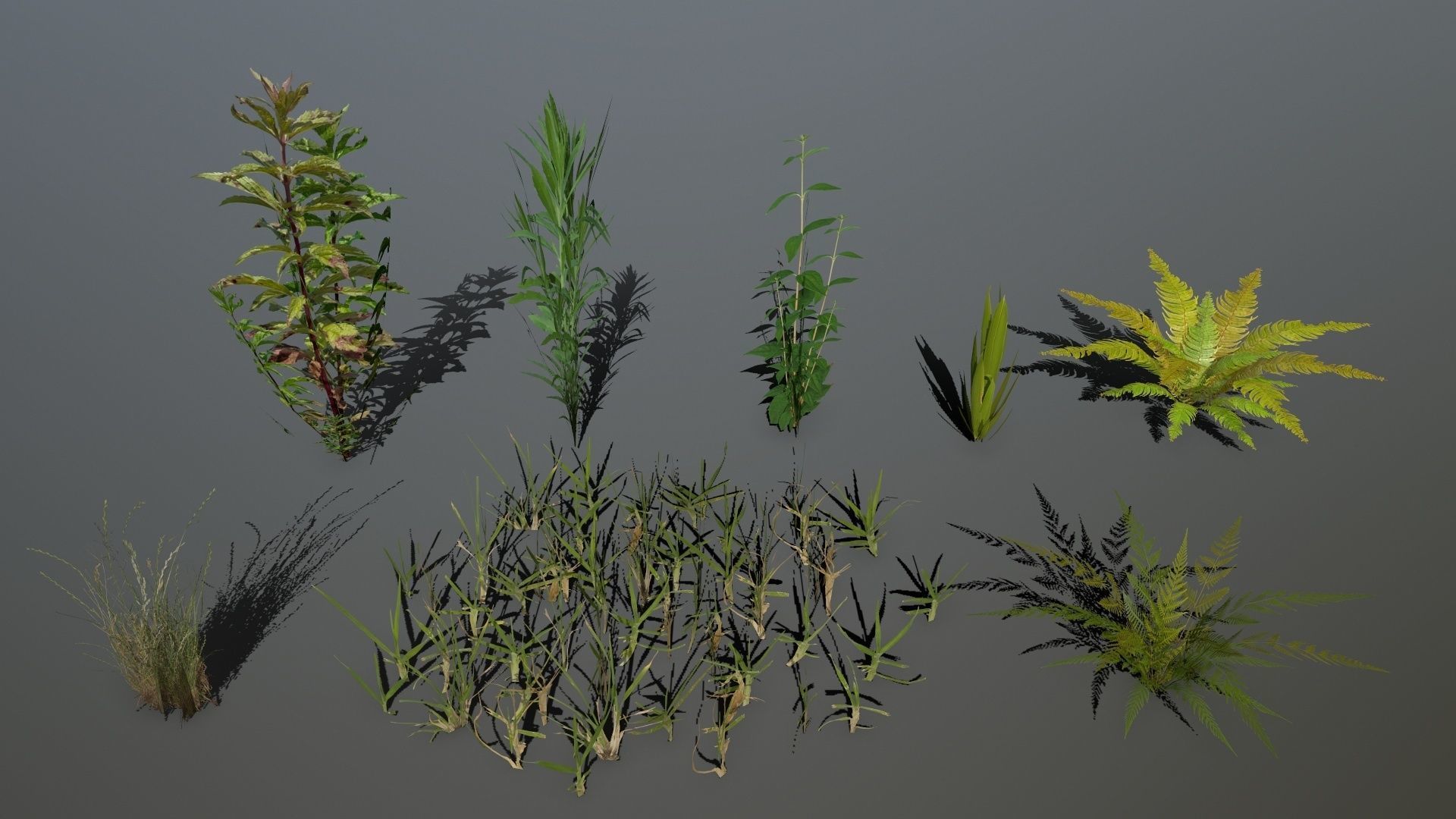 ruin set tree in middle of Low-poly 3D model_11