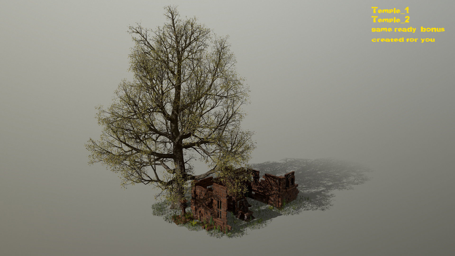 ruin set tree in middle of Low-poly 3D model_1
