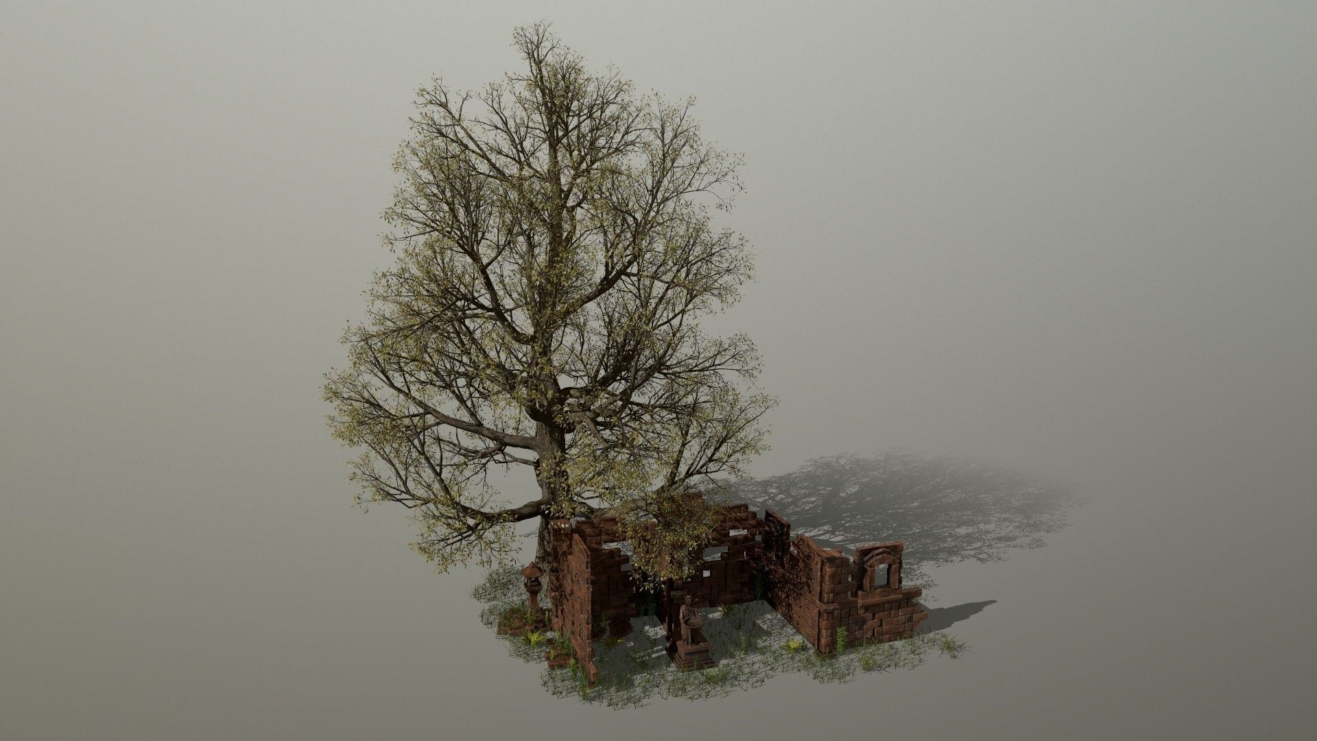 ruin set tree in middle of Low-poly 3D model_13