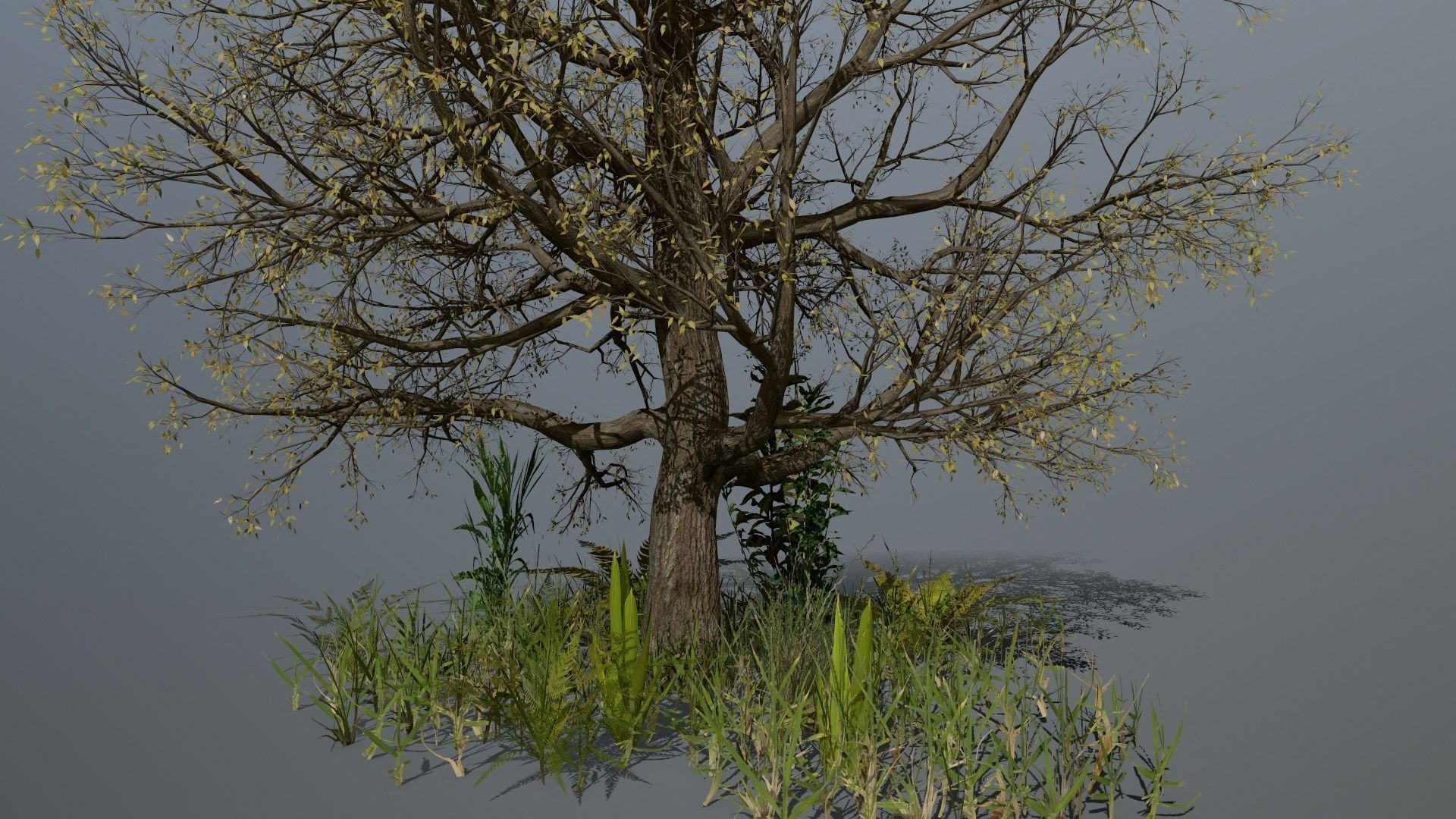 ruin set tree in middle of Low-poly 3D model_22