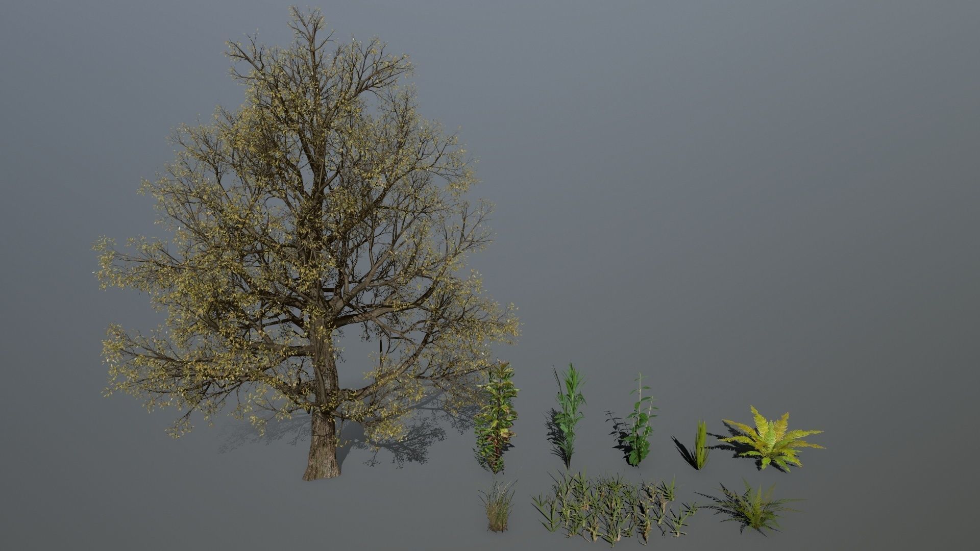 ruin set tree in middle of Low-poly 3D model_12