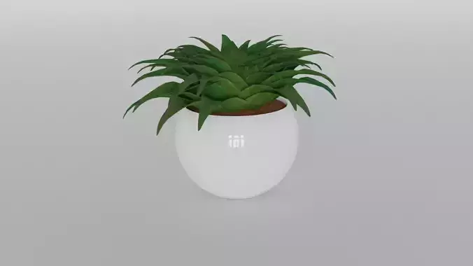 Potted Bush