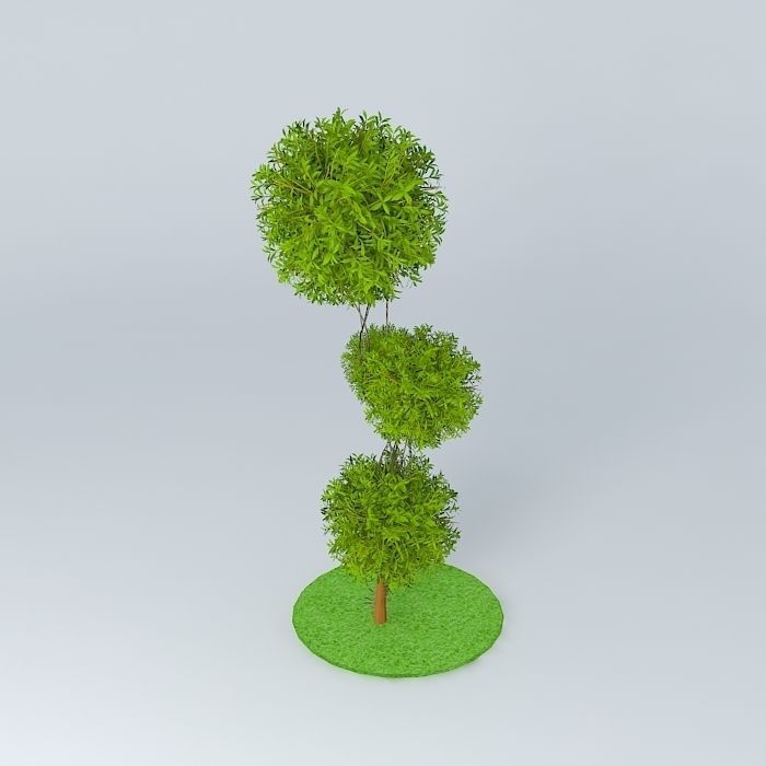 plant three trees Free 3D model_1