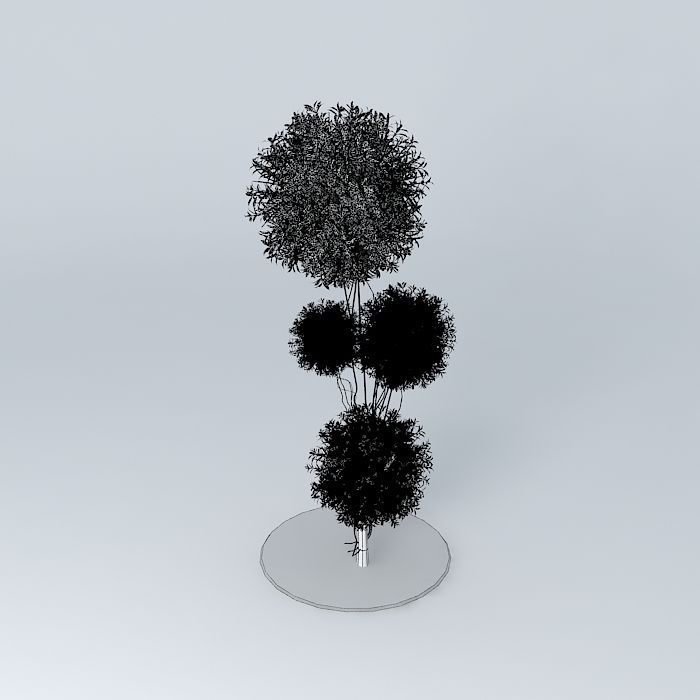 plant three trees Free 3D model_4