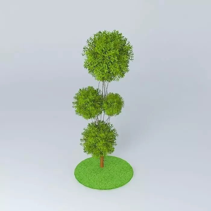 plant three trees Free 3D model_0